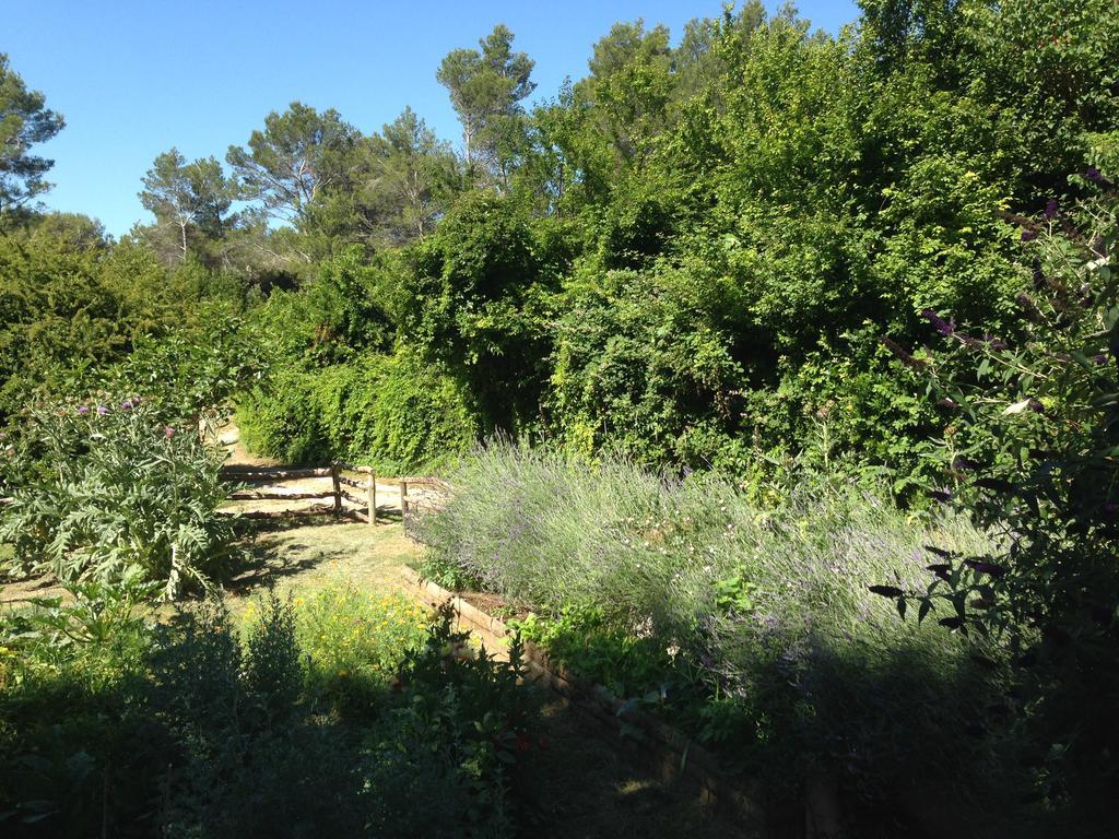 Cabane De La Leque Fontvieille Exterior foto